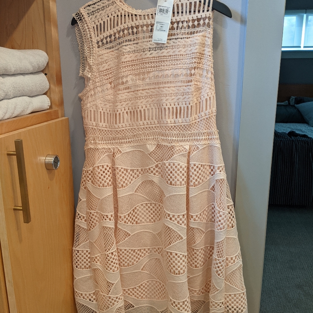 NWT Adorable Ecru Rose dress